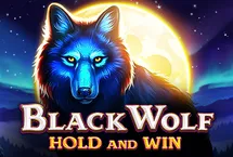 Quick Spin Slot
