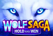 Quick Spin Slot